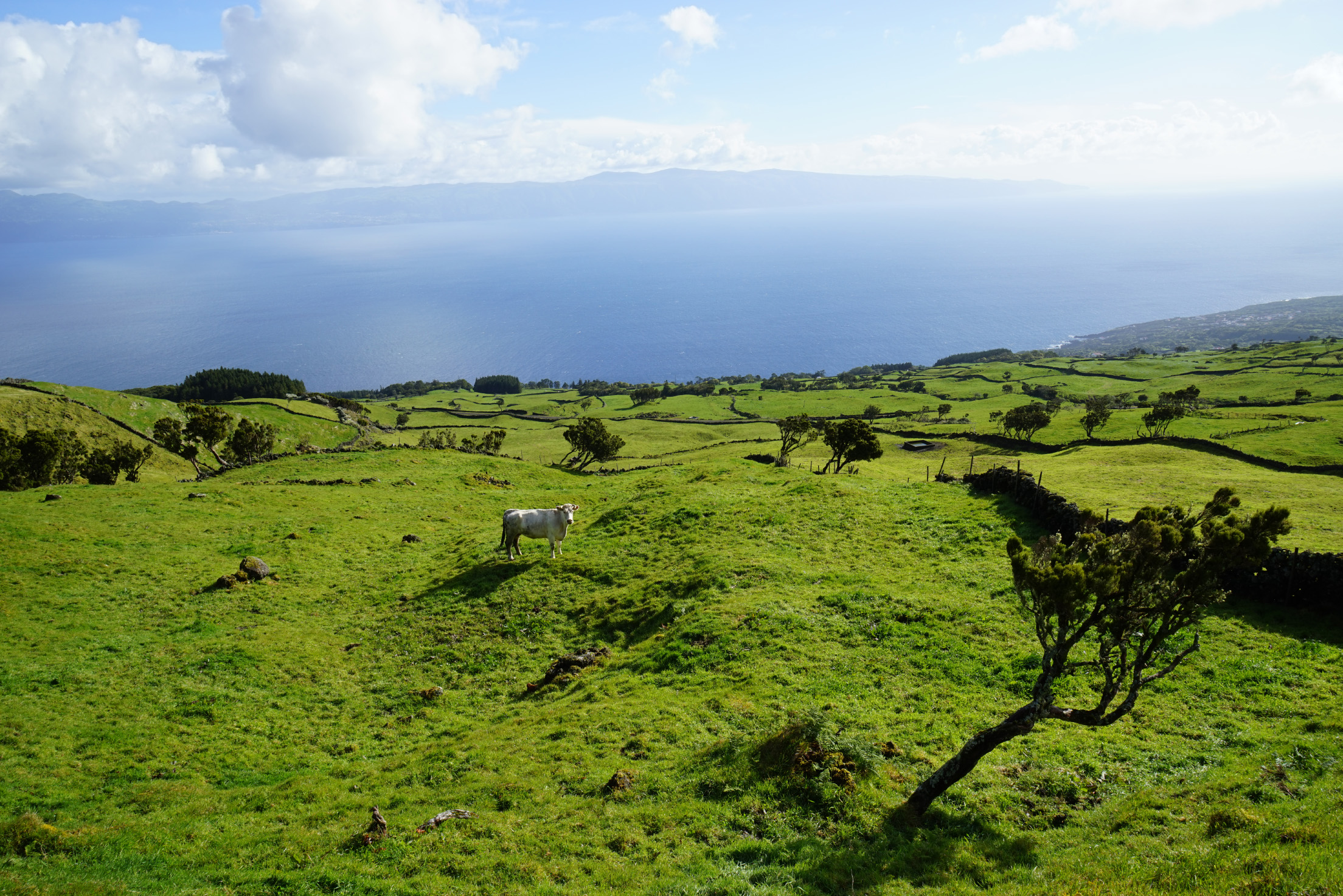 Pico Highlands View to Sao Jorge Pico Highlands View to Sao Jorge