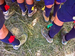 Scouts