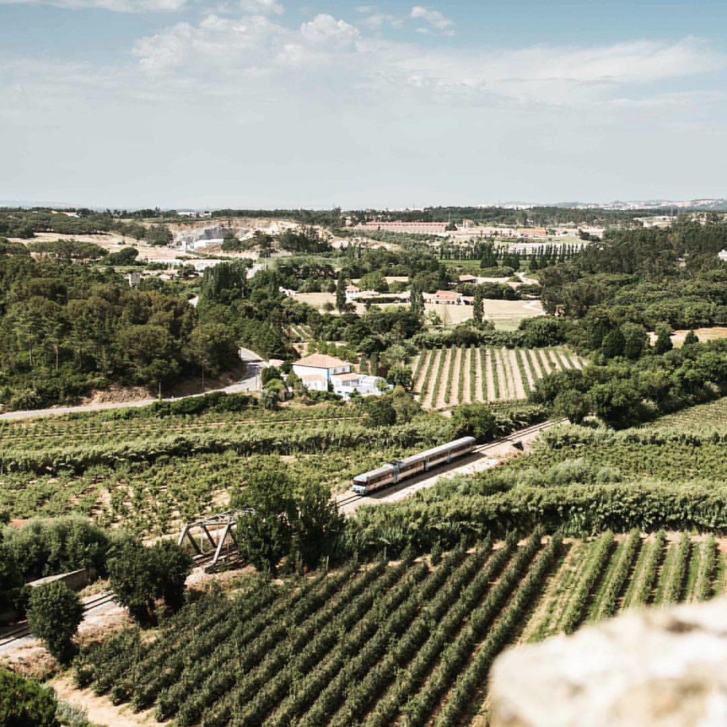 On the castle walls of Óbido the heavy diesel wagons appear to be a toy train. #portugal #travel #jamesdoeland #colorful #nikon #d750 #landscape #picturesque #rural #grapevine #sunny #lush #nature #green On the castle walls of Óbido the heavy diesel wagons appear to be a toy train. #portugal #travel #jamesdoeland #colorful #nikon #d750 #landscape #picturesque #rural #grapevine #sunny #lush #nature #green